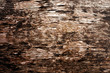 Holztextur mit Maserung