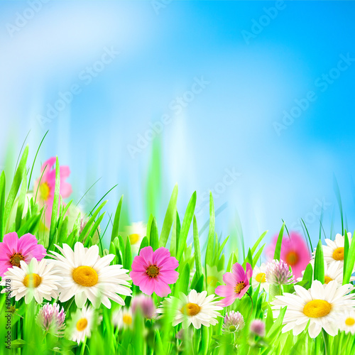 Photo: Beauty summer backgrounds for your design Beauty summer backgrounds for your design