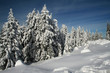 Foto: snow snow