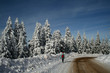 Foto: Snow Snow