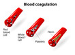 Blood coagulation