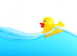 Duck childhood