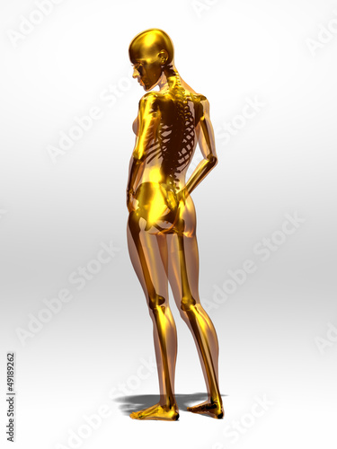 Illustration: golden, transparent female body with skeleton golden, transparent female body with skeleton