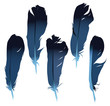 Vector: Feathers set Feathers set