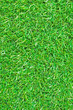 Seamless Artificial Grass Field Texture