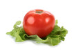 Salad and tomato