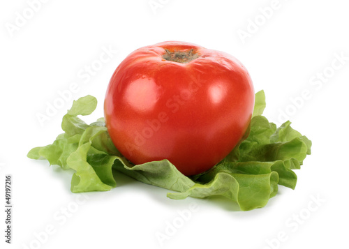Photo: Salad and tomato Salad and tomato
