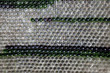 glass bottles on the wall as background