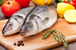 Sea Bass
