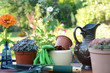 Garten 24
