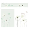 floral background, dandelion