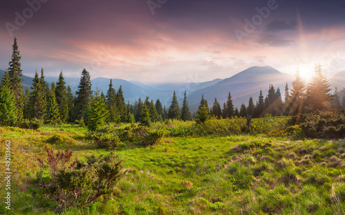 Photo: Beautiful summer landscape in the mountains. Sunrise Beautiful summer landscape in the mountains. Sunrise
