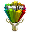 Thank You Trophy Recognition Appreciation of Job Efforts