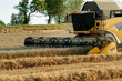 Yellov combine on field harvesting gold wheat