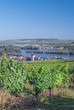der bekannte Weinort Rüdesheim am Rhein