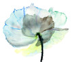 Stylized  flower illustration