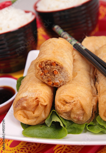 Photo: fried spring roll fried spring roll