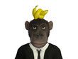 Mr.Monkey - knotted banana