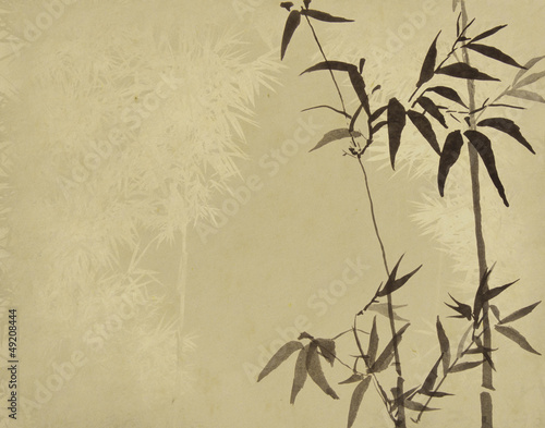Photo: bamboo on old grunge antique paper texture bamboo on old grunge antique paper texture