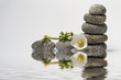 Balance with stones