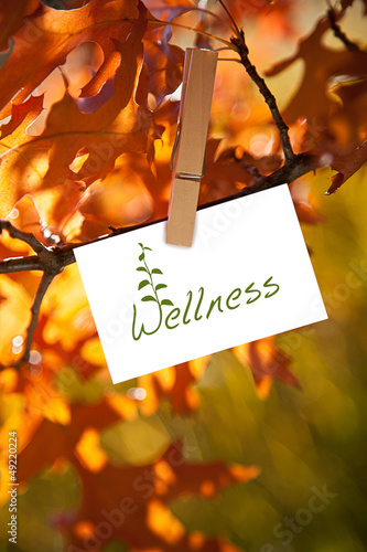 Photo: Wellness Wellness