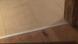 video glasschwingtür II