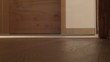 video glasschwingtür III