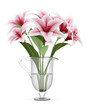 bouquet of pink lilies in vase isolated on white background