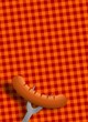 Illustration: plakat td grillwurst I plakat td grillwurst I