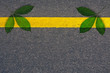 green leaves on asphalt road surface  for background