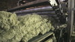 production of heat insulation