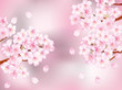 桜枝＿ピンク
