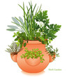 Herb Garden, Parsley, Sage, Rosemary, Thyme, Chives, Oregano