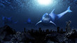 Dolphins underwater