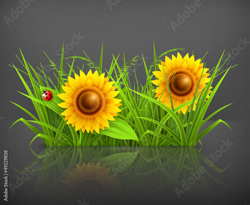 Vector: Sunflowers in grass Sunflowers in grass