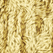 Illustration: fur background fur background