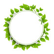 Vector: Announcement Coupon With Green Leaves Announcement Coupon With Green Leaves