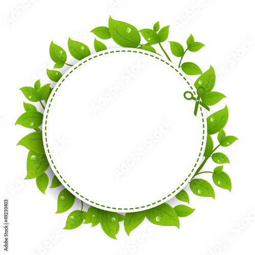Vector: Announcement Coupon With Green Leaves Announcement Coupon With Green Leaves