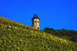 Spätsommer am Drachenfels