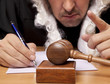 Judge