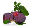 Red plums