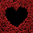 rose petals background with place for text.