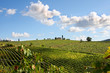 Photo: Chianti vineyard landscape in Tuscany, Italy Chianti vineyard landscape in Tuscany, Italy