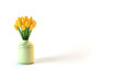 Tulpen in einer Vase