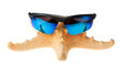 starfish in sunglasses on vacation. isolated