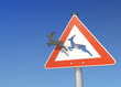 Unfallgefahr durch Wildwechsel