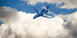 executive jet blue