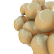 Illustration: Fettzellen - isoliert - 3D Render Fettzellen - isoliert - 3D Render