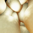 Fettzellen - close up - 3D Render
