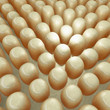 Fettzellen - 3D Render